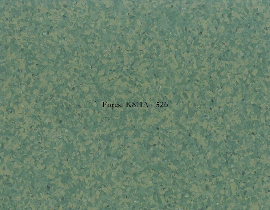 Forest - K811A - 526